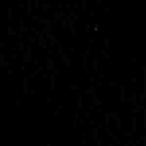 Meet your Posher, Noah